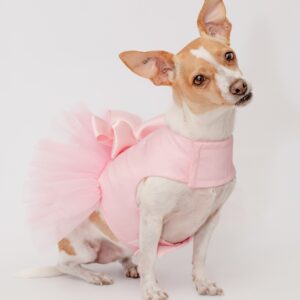 Tutú Rosa