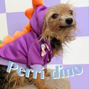 PERRI DINO