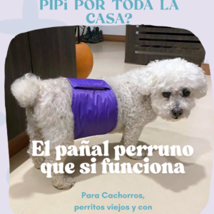 Pañal Perruno